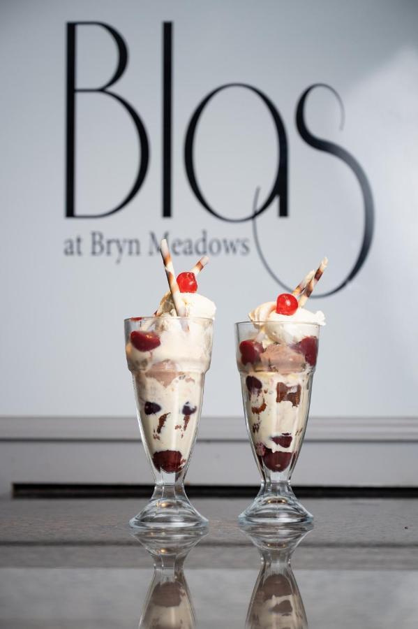 Bryn Meadows Golf, Hotel & Spa Blackwood  Exteriér fotografie